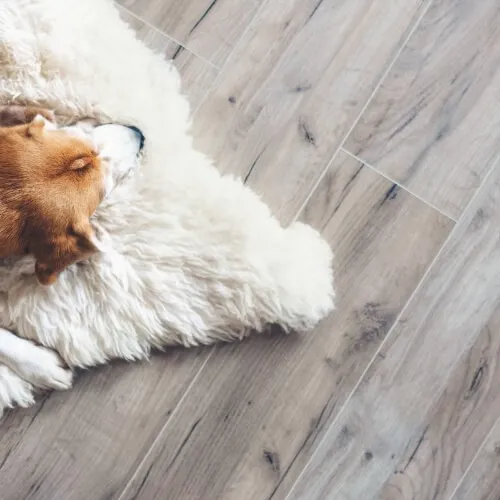 Vinyl | Valley Carpet
